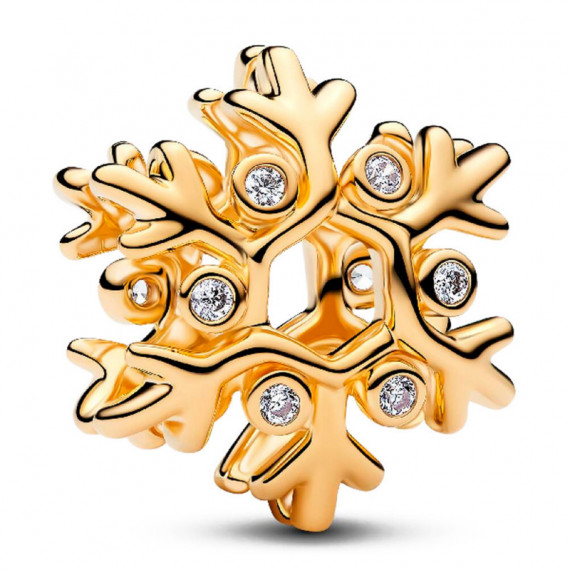 Charm Copo de Nieve 764249C01