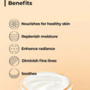 Full Fit Propolis Light Cream Crema Facial Hidratante