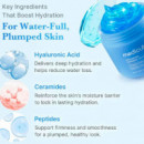 Hyaluronic Aqua Cooling Ceramide Jelly Cream
Crema Facial Hidratante