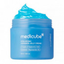Hyaluronic Aqua Cooling Ceramide Jelly Cream
Crema Facial Hidratante