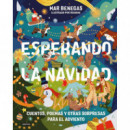 Esperando la Navidad. Cuentos, poemas y otras sorpresas para el Adviento