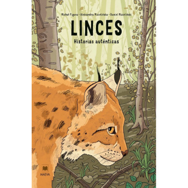 LINCES: HISTORIAS AUTENTICAS