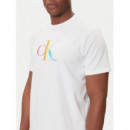 Camiseta Calvin Klein Logo Multicolor