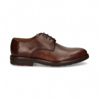 Blucher Liso Marron  AEROPLANE