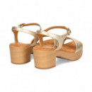 Carmelita Plataforma Platino  UNISA