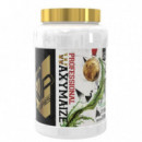 Waxymaize 2K - Mvp - Iogenix  IO.GENIX