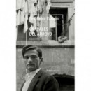 Chavales del Arroyo (biblioteca Pasolini)