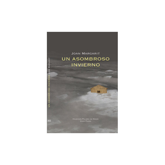 un Asombroso Invierno un Asombroso Invierno