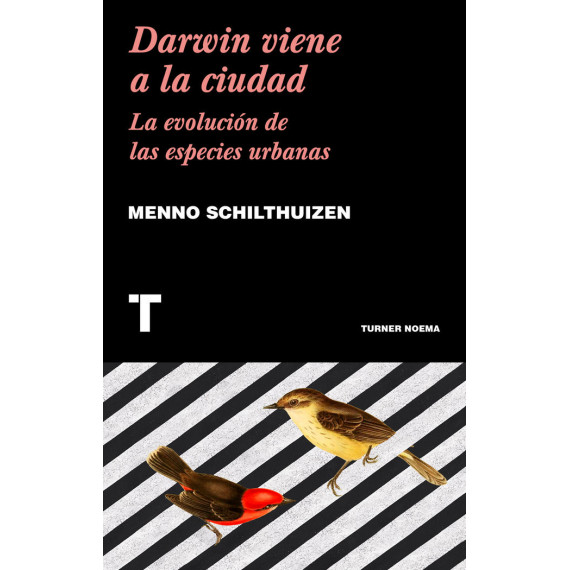 Darwin Viene a la Ciudad