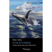el Dia de la Ballena - Guanxe Atlantic Marketplace