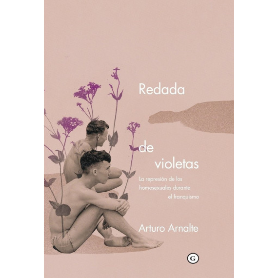 Redada de Violetas Redada de Violetas