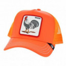 Gorra Goorin Bros cock