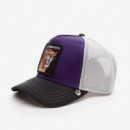 Gorra goorin bros sabertooth