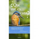 �qu� Ave Es Esta?