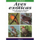 Aves Exoticas