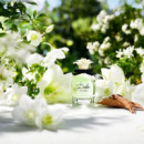Dolce
eau de Parfum  DOLCE & GABBANA