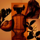The Scent For Her
eau de Parfum  HUGO BOSS