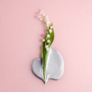 Fleur D'argent Absolute  MIU MIU