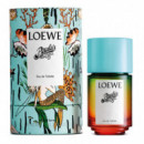 Paula's Ibiza  LOEWE