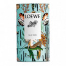 Paula's Ibiza  LOEWE