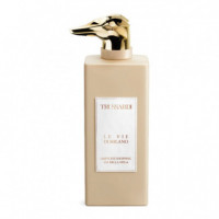 Le Vie Di Milano Via Della Spiga  TRUSSARDI