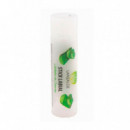 Protector Labial Aloe Vera  LANZALOE