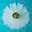 Mascarilla Quirúrgica Tipo Iir 50UD  IBEROMASK