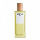 Agua  LOEWE