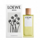 Agua  LOEWE