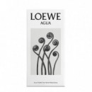 Agua  LOEWE