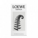 Esencia
eau de Toilette  LOEWE