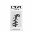 Esencia
eau de Parfum  LOEWE