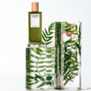 Esencia
eau de Parfum  LOEWE