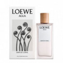 Agua Mar de Coral  LOEWE