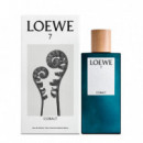 7 Cobalt  LOEWE