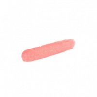 Phyto-lip Twist  SISLEY