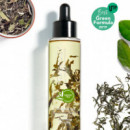 Bancha Oil  TEAOLOGY