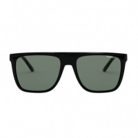 Gafas de Sol AN4261 41/9A Black Polar Green  ARNETTE