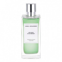 Les Eaux D'un Instant Mediterranean Cypress  ANGEL SCHLESSER