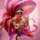 Olympéa Solar  PACO RABANNE