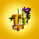 Huile Orchidée Bleue
aceite Tonificante  CLARINS