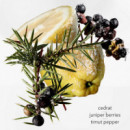 Terre D'hermès Eau Givrée  HERMÈS