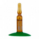 The Originals Proteos Hydra Plus  MARTIDERM