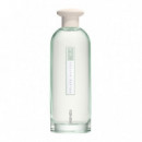 Memori Collection Poudre Matcha  KENZO