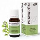 Pranarom Aceite Esencial Menta de Campo (menta Arvensis) 10 Ml  PRANAROMS