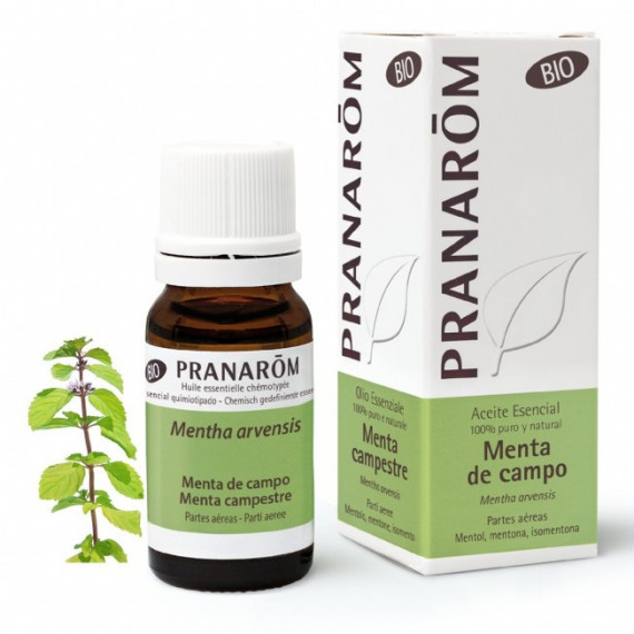 Pranarom Aceite Esencial Menta de Campo (menta Arvensis) 10 Ml  PRANAROMS