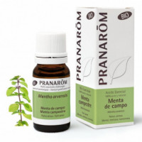 Pranarom Aceite Esencial Menta de Campo (menta Arvensis) 10 Ml  PRANAROMS
