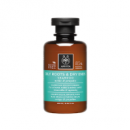 APIVITA Champu Raices Grasas y Puntas Secas 250ML