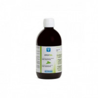 NUTERGIA Ergysil Botella 500 Ml