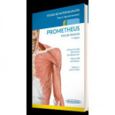 Prometheus Atlas de Anatomia Fichas de Autoevaluacion